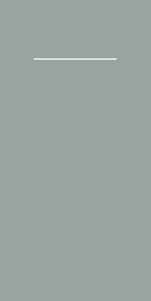 Pocket-Napkins: BASIC  GRAU