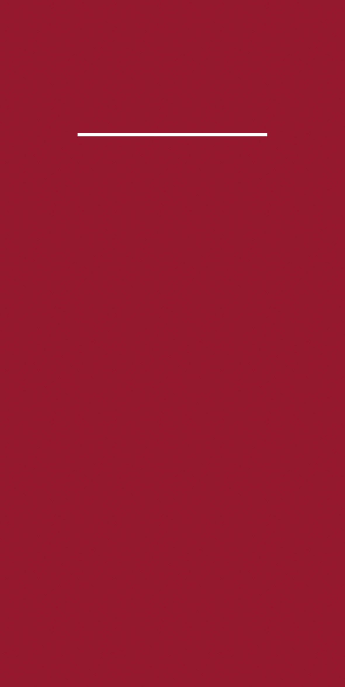 Pocket-Napkins: BASIC BORDEAUX