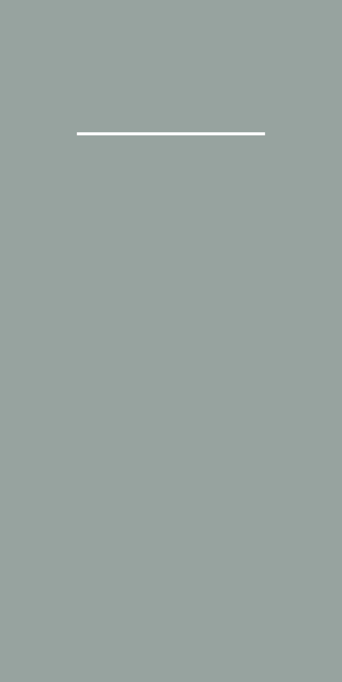 Pocket-Napkins BASIC  GRAU