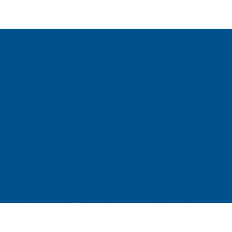 Tischsets BASIC ROYALBLAU, Pack à 100 Stück, 40 x 30 cm Linclass