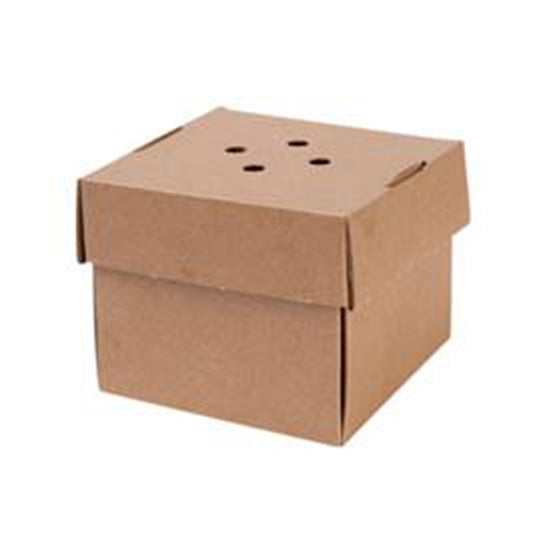 Premium Delivery Burger Box
