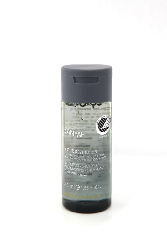 ANYAH Shampoo 46ml 2in1