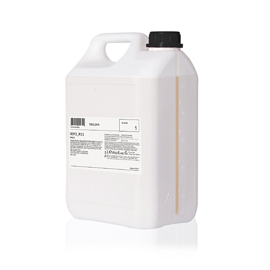 PRIJA Haarshampoo 380ml Nachfüll-Kanister à 5 Liter Karton à 2 Stück