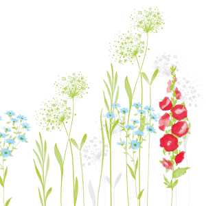 Serviette Milli